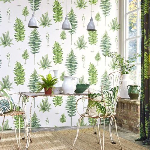 Fernery 216633